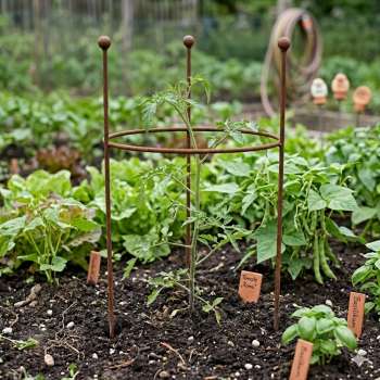 Staudenring in Rostoptik – natürliche Eleganz für Ihr Gartenbeet